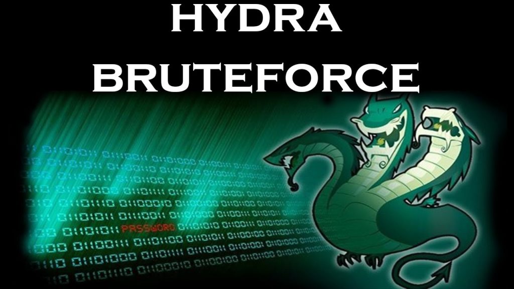 Hydra Cheat Sheet Netwerk_LABS